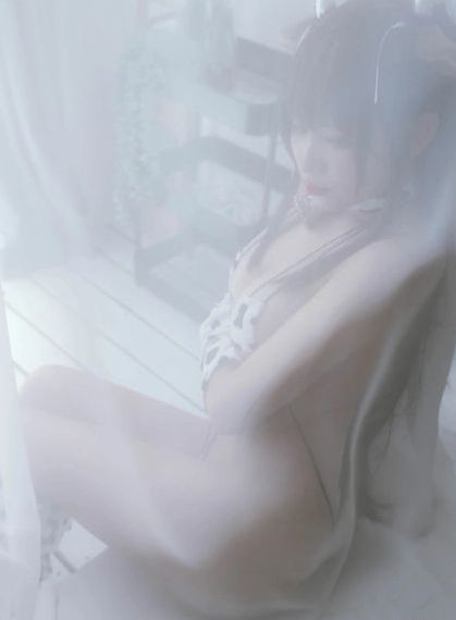 律师的堕落