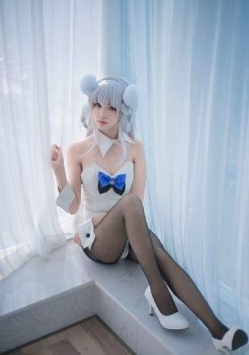 屋顶的大象