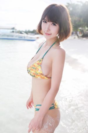 《完美的妻子》电视剧