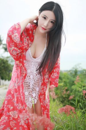 美丽的灾难
